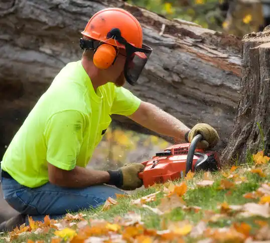 tree services Dunn